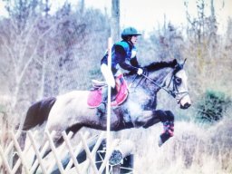 Poneys